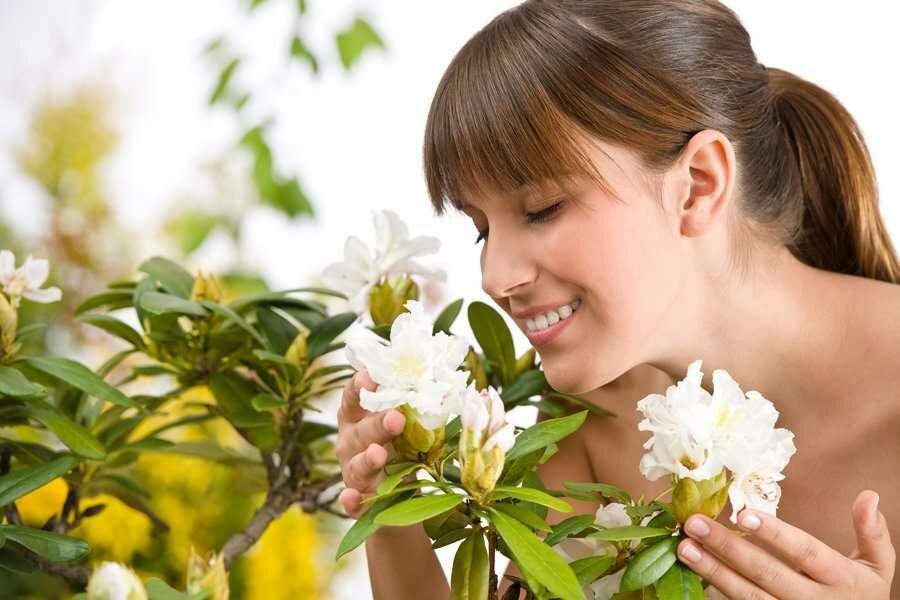 Как запахи влияют на нашу жизнь?